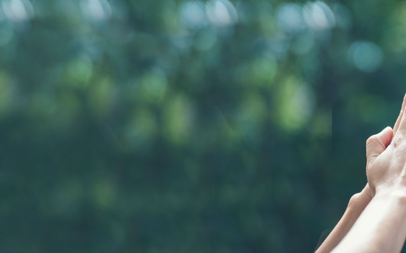 pACI and One Click LCA Made Smarter Schools a Reality for CPAC 